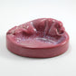 Frankoma <br> #460 Cocker Ashtray <br> c. 1948-1954, H. 2 5/8" <br> Red Bud <br> Ada Clay, Unmarked <br> <br> Free Shipping